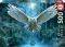 AWAKE YOUR MAGIC EDUCA 500 ��������