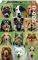DOGS COLLAGE EDUCA 500 ��������