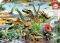 EDUCA 500 DINOSAURS EDUCA 500 ��������