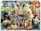IT'S A CLASS PHOTO EDUCA 1000 ��������