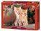 RED KITTENS CASTORLAND 1500 ��������