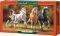BORN TO RUN CASTORLAND 4000 ��������
