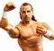 ������� WWE 17CM SHAWN MICHAEL [FTC78]