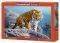 TIGER ON THE ROCKS CASTORLAND 500 ��������