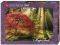 MAGIC FORESTS-   HEYE 1000 ...