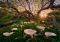 MAGIC FORESTS CALLA CLEARING HEYE 1000  [29906]