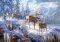 WINTER MOUNTAIN LIGHT CASTORLAND 1000 