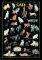 CATS RICORDI 1000 ��������
