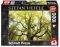 STEFAN HEFELE DREAM TREE SCHMIDT 1000 �������...