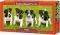 JACK RUSSELL TERRIER PUPPIES CASTORLAND 600 ...