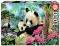 MORNING PANDA EDUCA 1000 ��������
