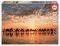 SUNSET IN BEACH CABLE EDUCA 1000 ��������