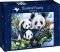 PANDA FAMILY BLUEBIRD 1000 ��������