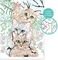    PAINT & FRAME FUNNY KITTIES (9+ )