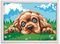    PAINT & FRAME LOVING PUPPY (9+ )