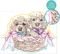    PAINT & FRAME DORABLE PUPPIES (9+ )