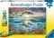 DOLPHIN PARADISE XXL RAVENSBURGER 300 