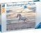 EVENING GALLOP RAVENSBURGER 500 