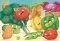  RAVENSBURGER (224) 44 