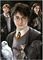 EDUCA PUZZLE HARRY POTTER MINIATURE 1 1000 