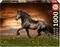 TROTTING HORSE EDUCA 1000 ��������