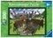 MINECRAFT CUTAWAY RAVENSBURGER XXL 300 ...