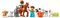 LEGO DUPLO CARING FOR ANIMALS AT THE FARM [10416]