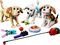 LEGO CREATOR ADORABLE DOGS [31137]