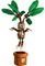 LEGO HARRY POTTER  MANDRAKE [76433]