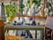 LEGO HARRY POTTER FORBIDDEN FOREST: MAGICAL CREATURES [76432]