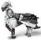 LEGO HARRY POTTER BUCKBEAK [76427]