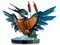 LEGO ICONS 10331 KINGFISHER BIRD [10331]