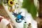 LEGO ICONS 10331 KINGFISHER BIRD [10331]