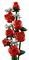 LEGO ICONS BOUQUET OF ROSES [10328]