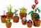 LEGO ICONS TINY PLANTS [10329]