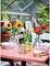 LEGO ICONS SUNFLOWERS [40524]