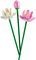 LEGO ICONS LOTUS FLOWERS [40647]