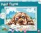    PAINT & FRAME FUNNY KITTIES-CUTE BUNNIES-LOVING PUPPY-MAGIC UNICORN (7+)