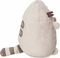   PUSHEEN  (13 .)