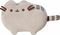   PUSHEEN  (14 .)