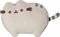 �������� ������� PUSHEEN ������� (24 ��.)