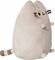  PUSHEEN  (23 .)