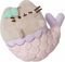   PUSHEEN   (13 .)