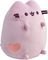   PUSHEEN   (18 .)