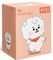   BT21 BABY RJ    (20 .)