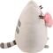   PUSHEEN   (18 .)
