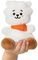  PALM PALS BT21 RJ (13 .)