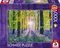 TRANSQUIL BLUEBELL WOOD SCHMIDT 1000 ...