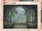 INNER MYSTIC SYLVAN SPECTRE HEYE 1000 ...
