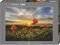 CLOUDBERRIES AVH HEYE 1000 �������� [30016]